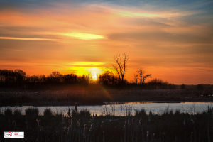 Zonsondergang Sandebuur