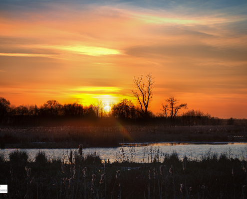 Zonsondergang Sandebuur