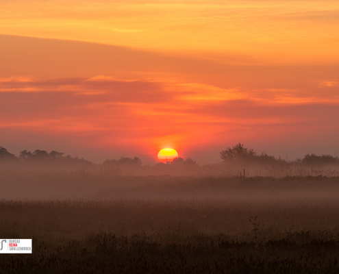 Zonsopkomst