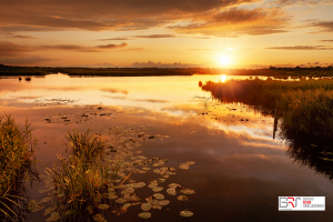 Gouden zonsondergang