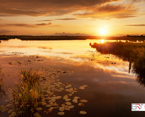 Gouden zonsondergang