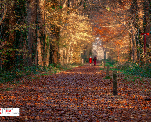 Herfst foto