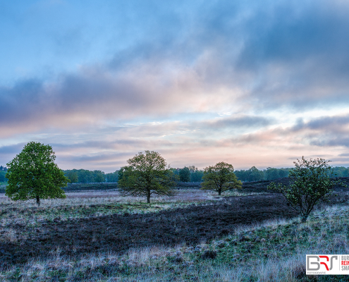 Gasterse Duinen