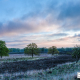 Gasterse Duinen