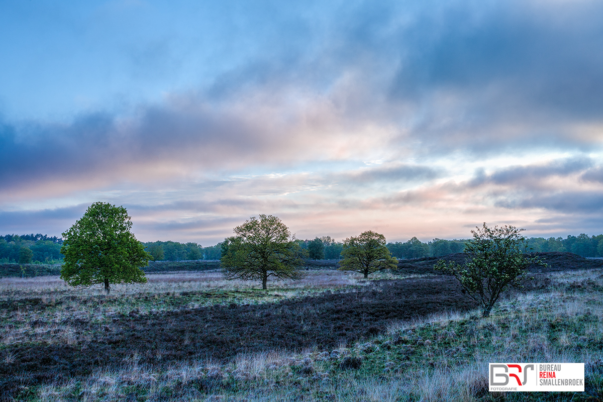 Gasterse Duinen