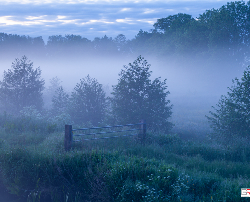 Mist in de polder van Leek