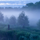 Mist in de polder van Leek