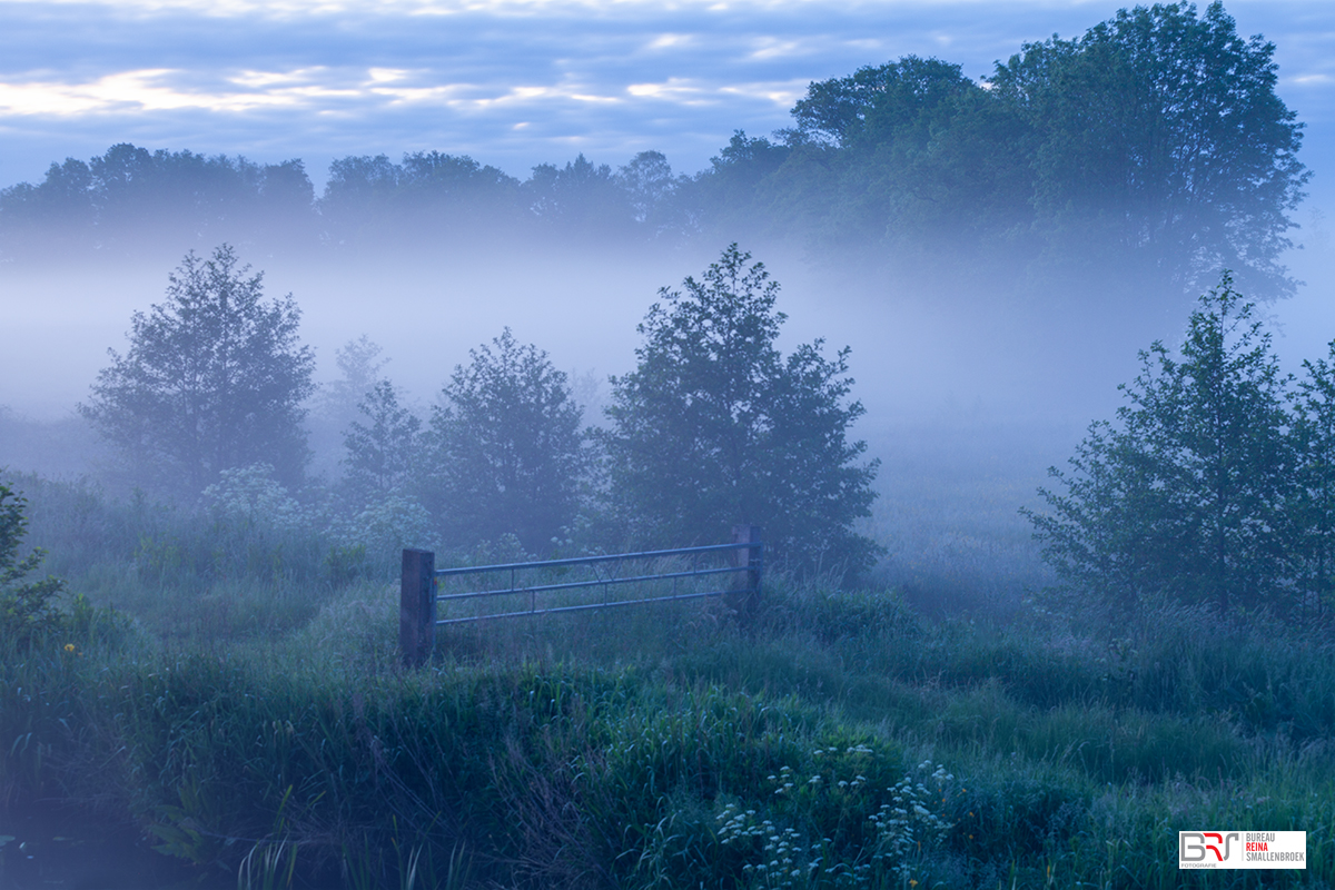 Mist in de polder van Leek