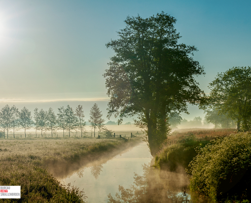 Polder met mist en flare