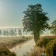 Polder met mist en flare