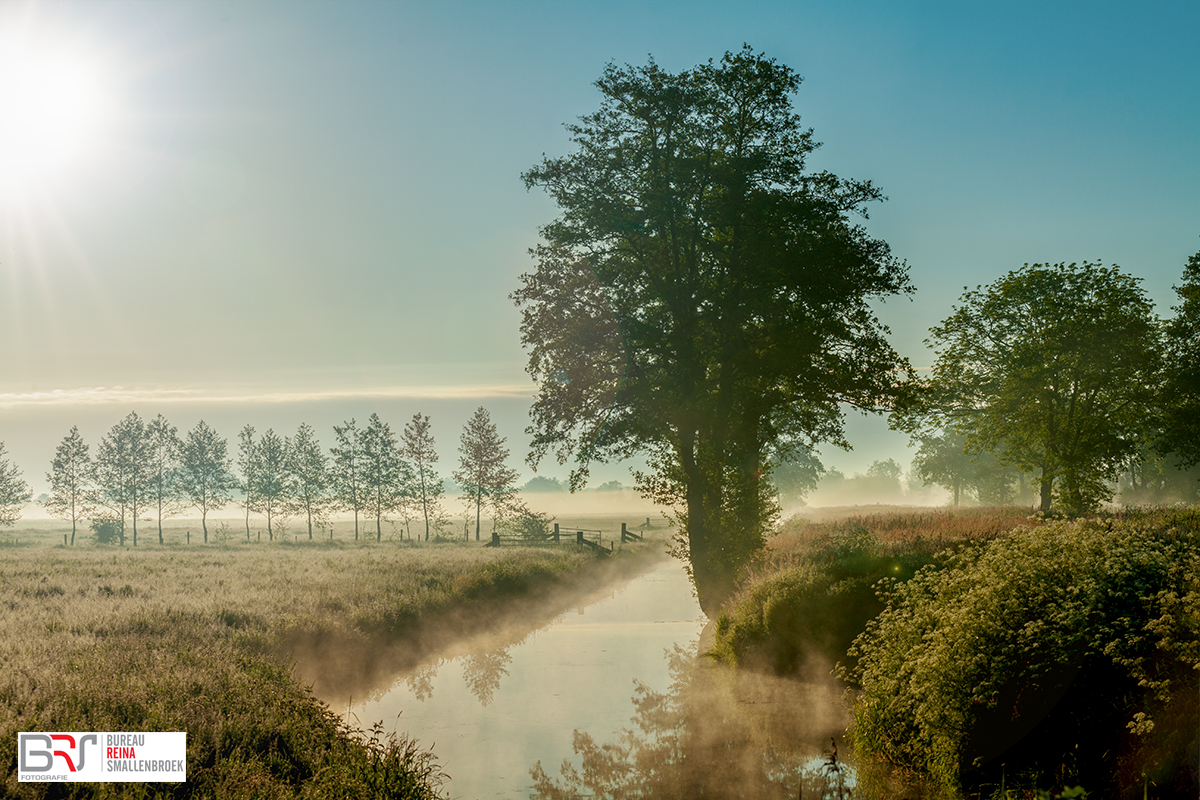 Polder met mist en flare