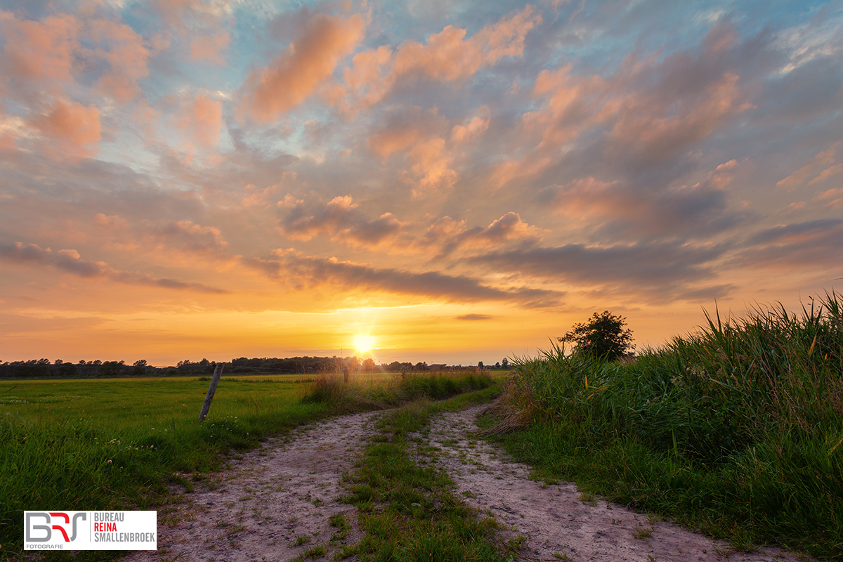 Zonsondergang De Onlanden