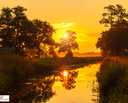 Zonsopkomst Nienoordsche Polder