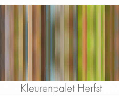 kleurenpalet_herfst