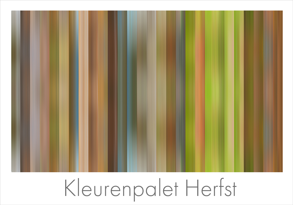 kleurenpalet_herfst