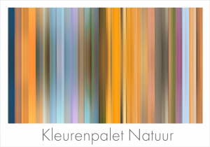 Kleurenpalet Natuur