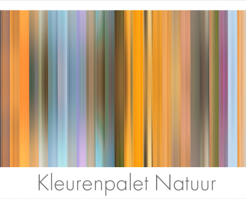 Kleurenpalet Natuur