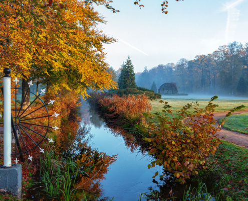 Herfst Nienoord