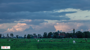 Lettelbert vanuit de Nienoordschepolder