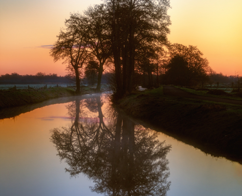 Nienoordsche polder