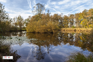 Vagevuur Herfst