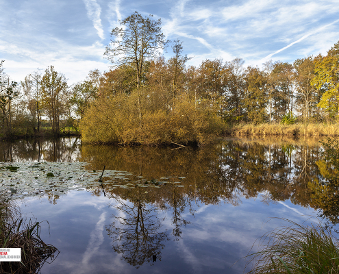 Vagevuur Herfst