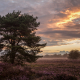 Zonsopkomst Balloerveld