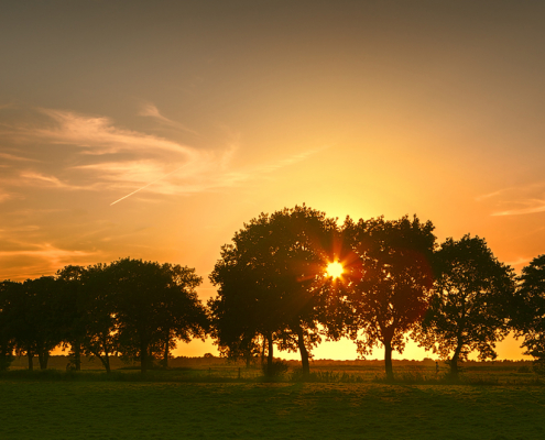 Zonsondergang bomen Onlanden