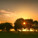 Zonsondergang bomen Onlanden