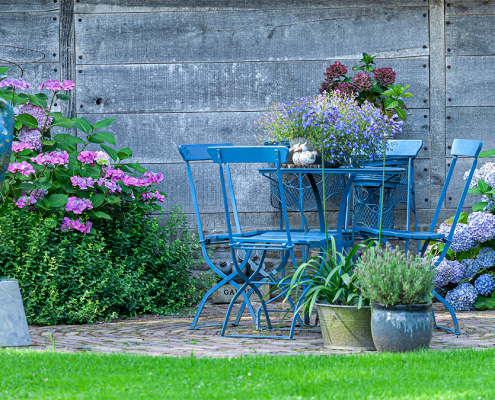 blue garden