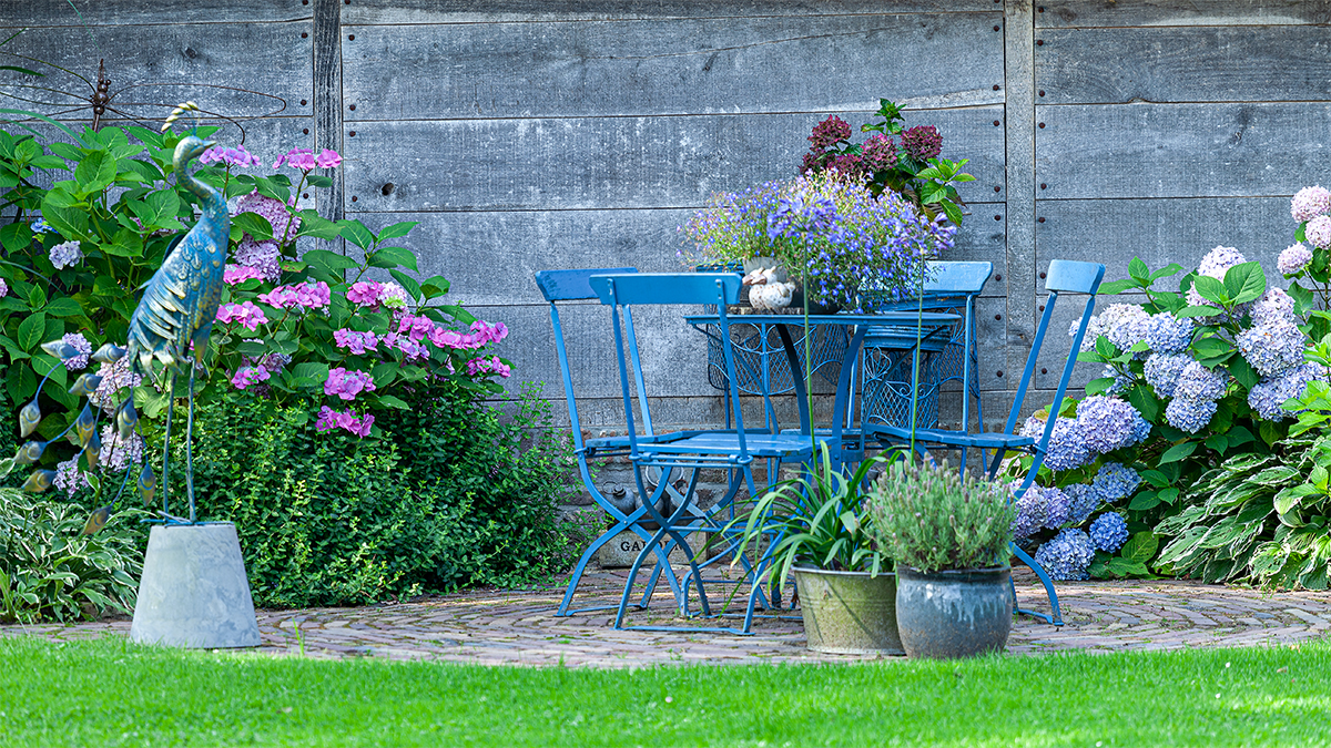 blue garden