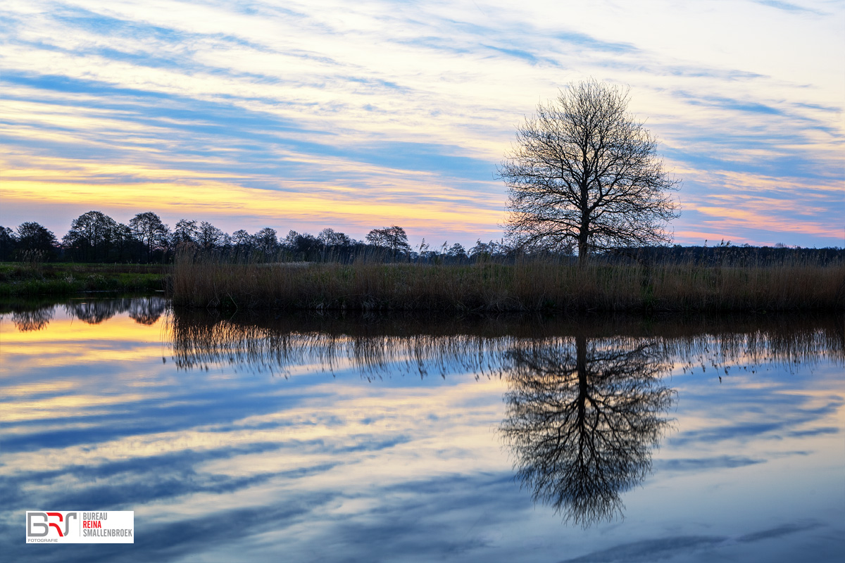 Boom Roderwolde