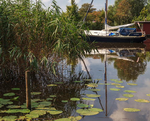 Boot en leliebladeren Leekstermeer