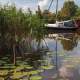 Boot en leliebladeren Leekstermeer