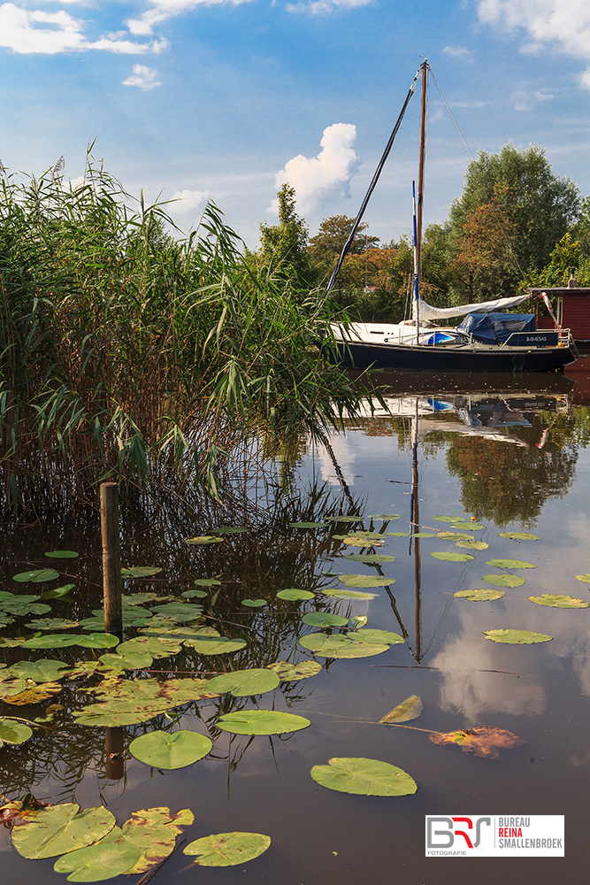 Boot en leliebladeren Leekstermeer