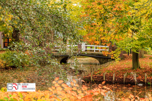 bruggetje tijdens herfst Mensinghe