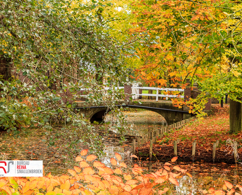 bruggetje tijdens herfst Mensinghe