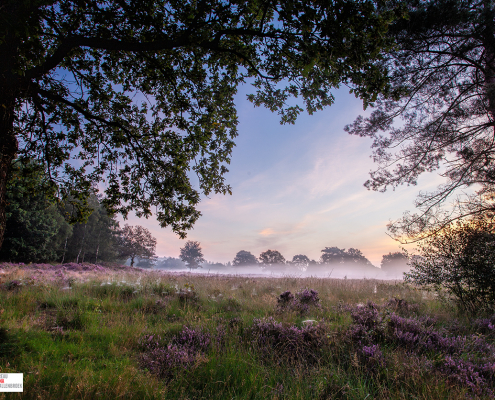 doorkijkje Mandeveld