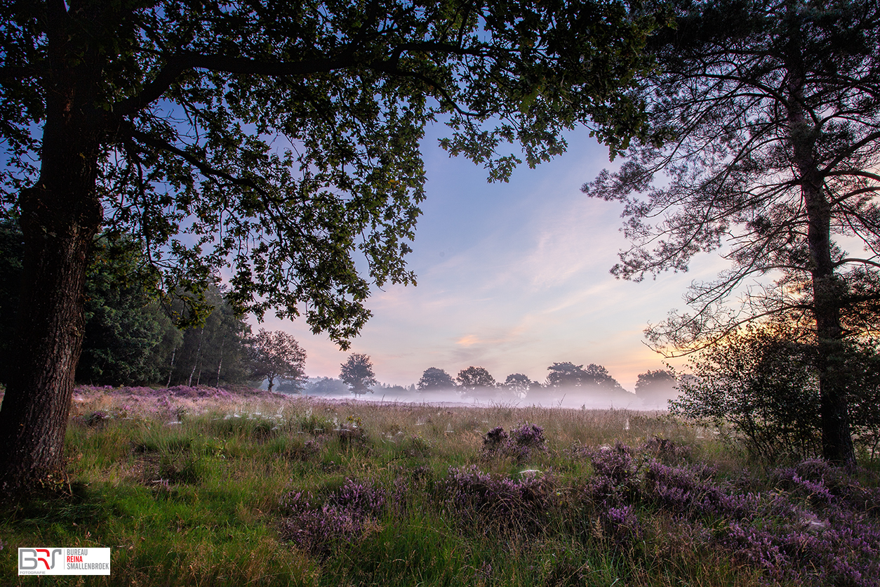 doorkijkje Mandeveld