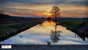 eendje in de zonsondergang