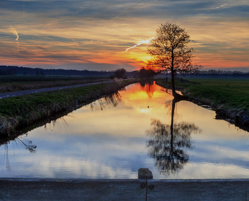 eendje in de zonsondergang