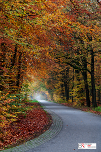 op weg naar Gasselte