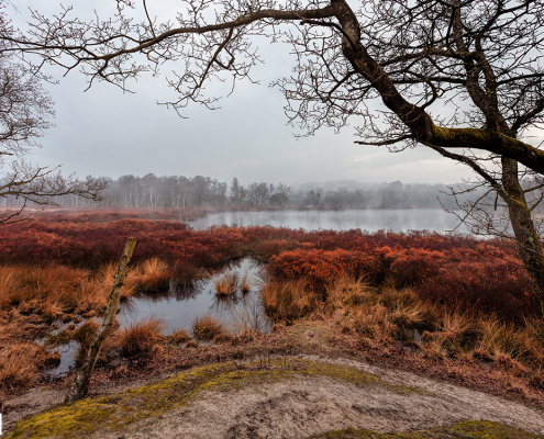 Doorkijk Siepelveen Drenthe