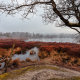 Doorkijk Siepelveen Drenthe