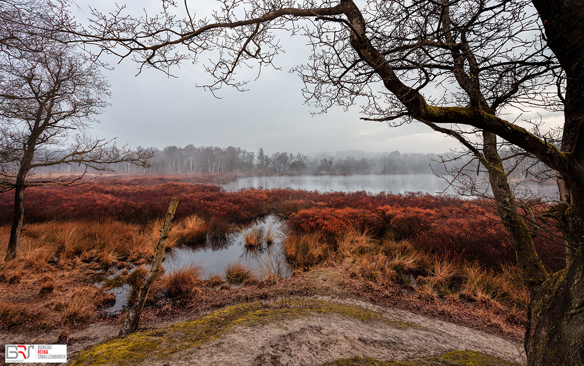 Doorkijk Siepelveen Drenthe