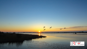 Zonsopkomst Leekstermeer