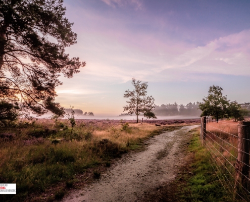 voor zonsopkomst Mandeveld