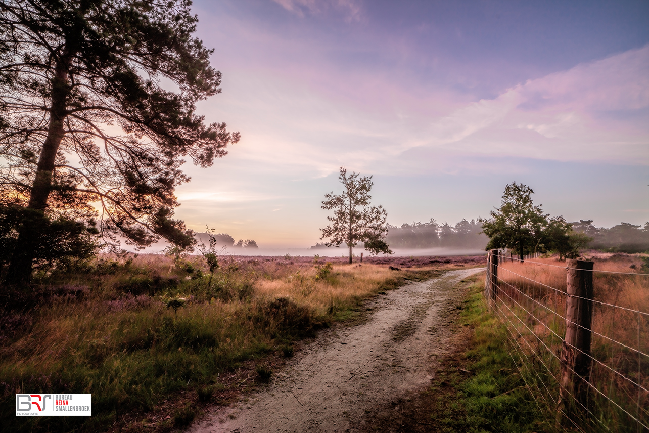 voor zonsopkomst Mandeveld