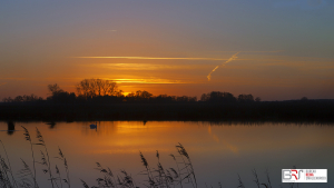 zonsondergang met zwaan Onlanden