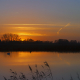 zonsondergang met zwaan Onlanden
